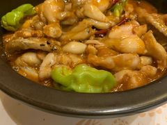 黑松露牛肝菌焖牛蛙-云海肴·汽锅鸡·云南菜(苏州中心店)