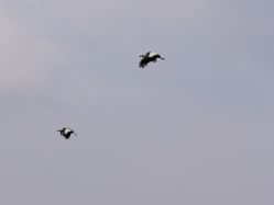 -F.N冻龄皮肤管理中心