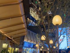 -桂满陇·海市蜃楼·黑金(国金店)