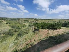 -鄂尔多斯野生动物园