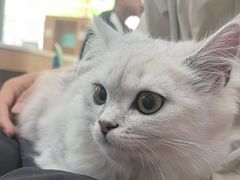 -联合动物医院(光谷诊疗中心)