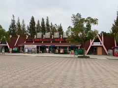 -野生动物园-停车场