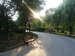 -燕郊植物园