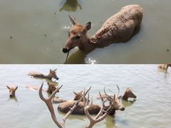 -宁波杭州湾国家湿地公园