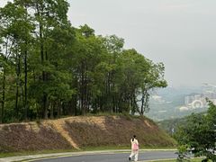 -黄埔油麻山森林公园
