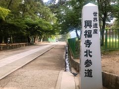 -奈良公园