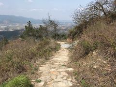 -黄陂区野村谷景区