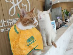 -北京恒爱动物医院(清景园分院)