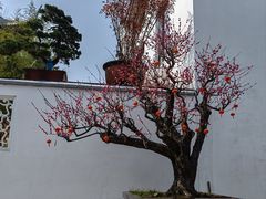 -龙华寺