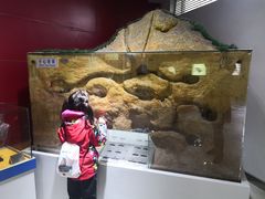 -上海昆虫博物馆