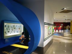 -上海昆虫博物馆