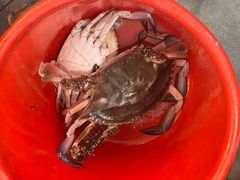 -好兄弟郭巨海鲜(天一阁店)