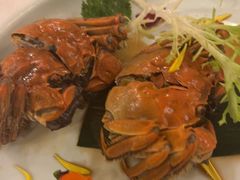 -全聚德(上海首店浦东店)