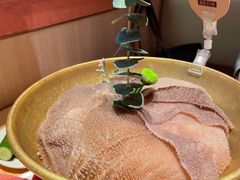 新西兰毛肚-巴奴毛肚火锅(七宝领展广场店)