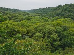 -大青沟风景区
