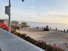 -宝安西湾红树林湿地公园