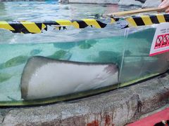 -鸿通城购物中心