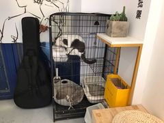 -颐玖 咖啡|甜品