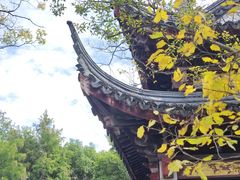 -长广溪湿地公园