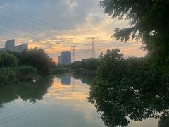 -九里河湿地公园