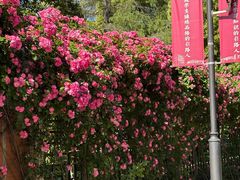-华东师范大学第二附属中学(张江校区)
