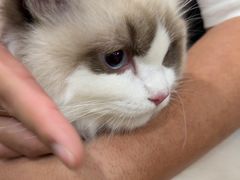 -佳雯宠物医院·皮肤科·内外科(春晓路分院)