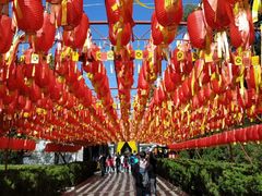 -大槐树寻根祭祖园