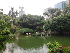 -九龙公园