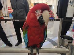 -欧亚汇集(飞跃路店)