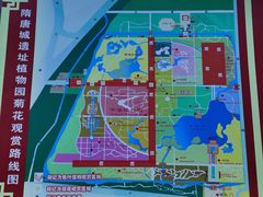 -洛阳市隋唐城遗址植物园