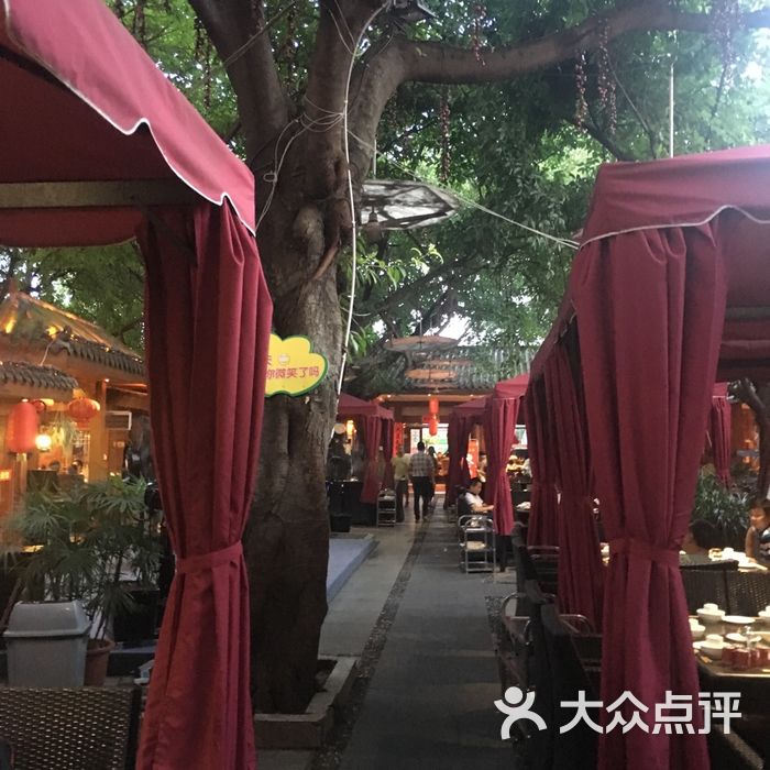 老茶树庭院火锅