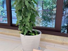 -汇龙潭
