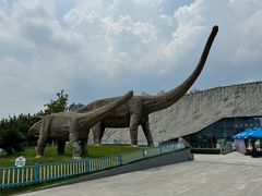 -天鹅湖体育公园