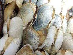-港畔赶海蒸汽海鲜烧烤自助(仙螺岛店)
