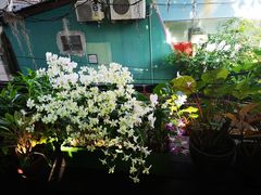 -自然餐厅(Phuket)