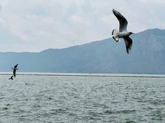 -滇池海埂公园
