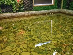 -泉城欧乐堡戏水湾艺术养生温泉