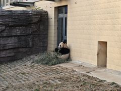 -石家庄市动物园