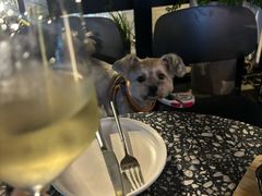 -Vinup薇葡·葡萄酒自助Bar(江宁路店)