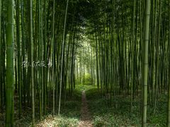-莫干山风景区