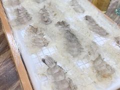 -官塘鱻鱻鱼生