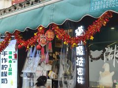 -猫的魔法密林(衣裳街店)