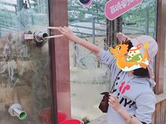 -横道河子东北虎林园