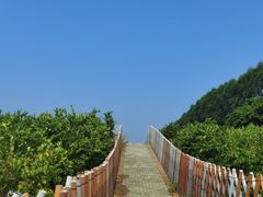 -迪茵湖田家舍生态农场