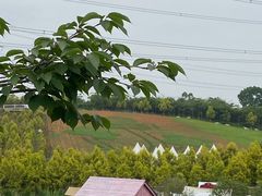 -紫颐香薰山谷景区