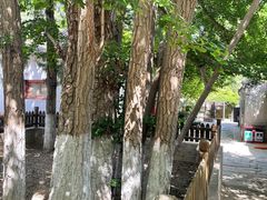 -大觉寺-停车场