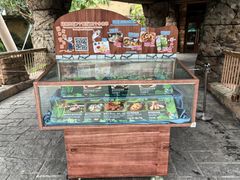 -雨林餐厅(长隆海洋王国店)