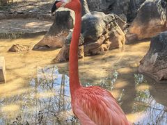 -昆明动物园