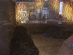 -巴斯漫温泉汗蒸馆(贡湖大道店)
