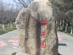 -高东镇樱花园